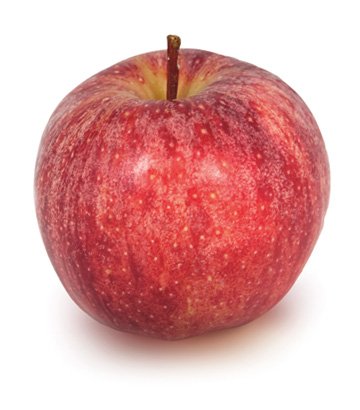 Bio-Obst vom Bodensee Apfel Galant®
